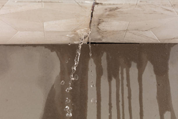 Professional Flood Damage Cleanup technician working in Bastrop, LA